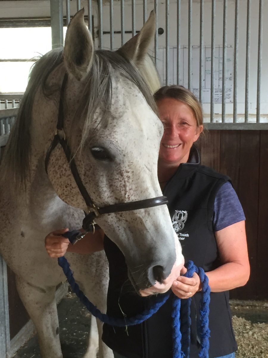 Read more about the article Equine Touch