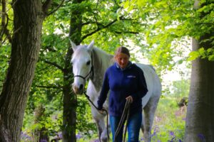 Read more about the article The Non Ridden Equine