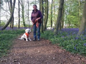 Read more about the article So You Have a New Puppy – First Steps