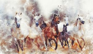 Read more about the article Equi Anima Essence – part 3 Deepening its Meaning