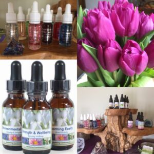 Flower Essences for Emotional Well-being, Saturday 27th June 2020,  10am and 3pm