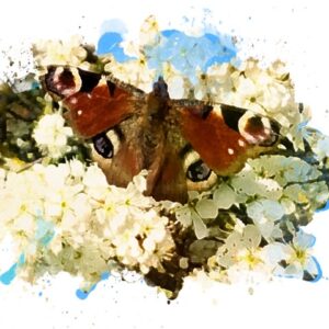 Anima Soul Series – Protect – Blackthorn Blossom